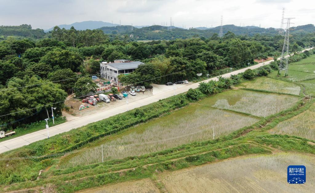 在线玩金币